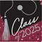 Creative Converting School Spirit Burgundy Class of 2025 Beverage Napkins 108 Count